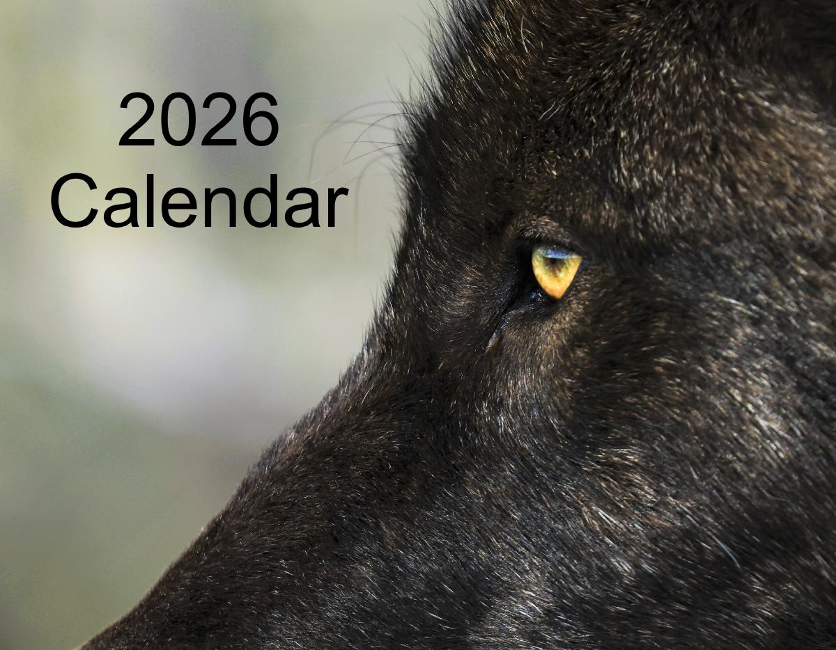 2025 Calendar