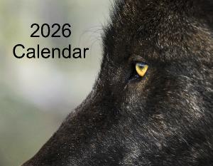 2025 Calendar