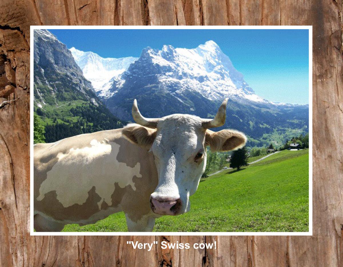 local grindelwald calendar 2026