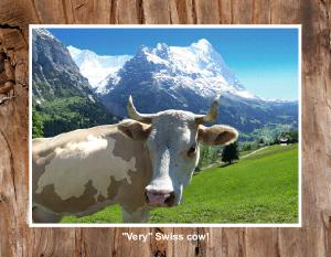 local grindelwald calendar 2026