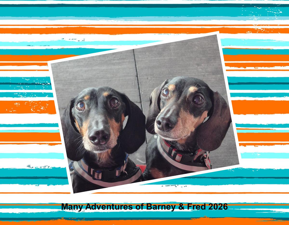 Many Adventures of Barney and Fred