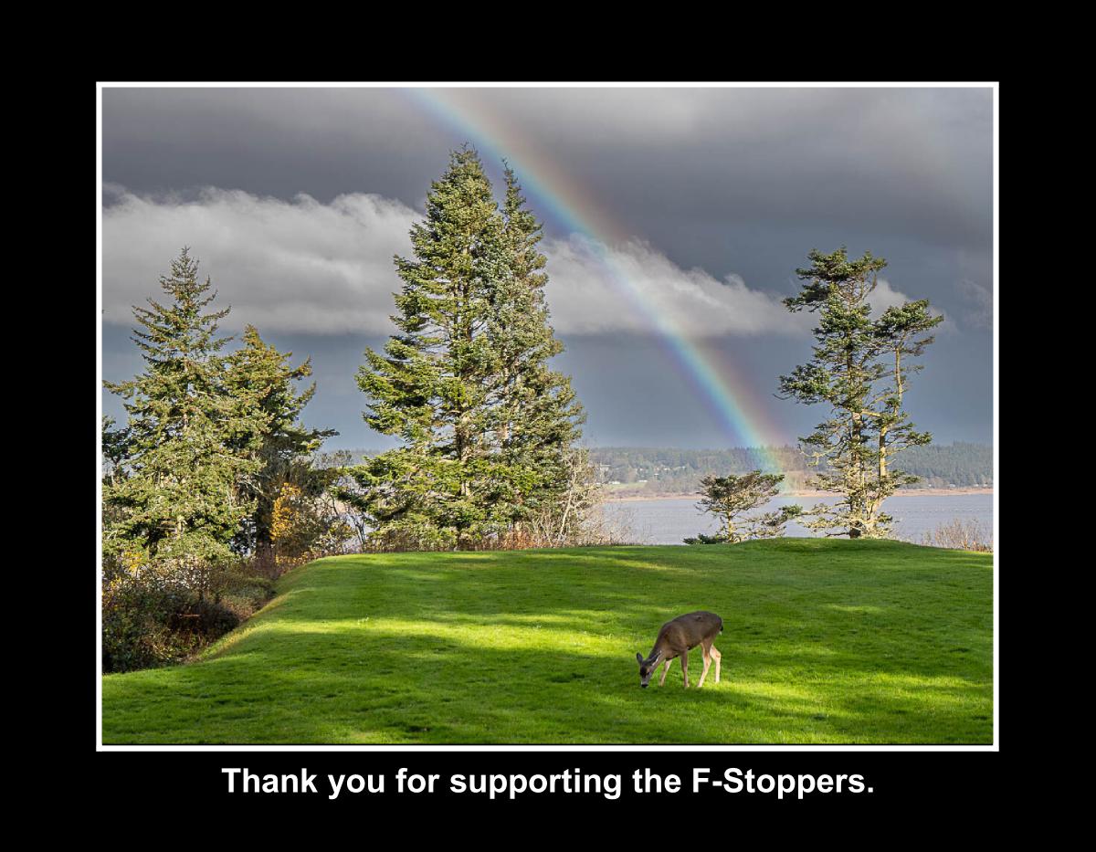 F-Stoppers Fund Raiser- Calendar 2026