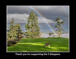 F-Stoppers Fund Raiser- Calendar 2026