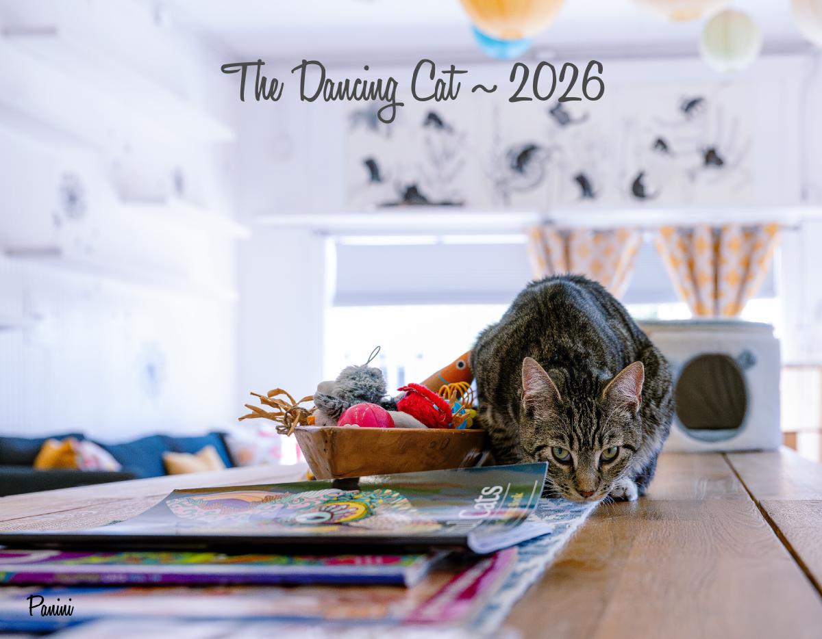 The Dancing Cat's 2026 Calendar