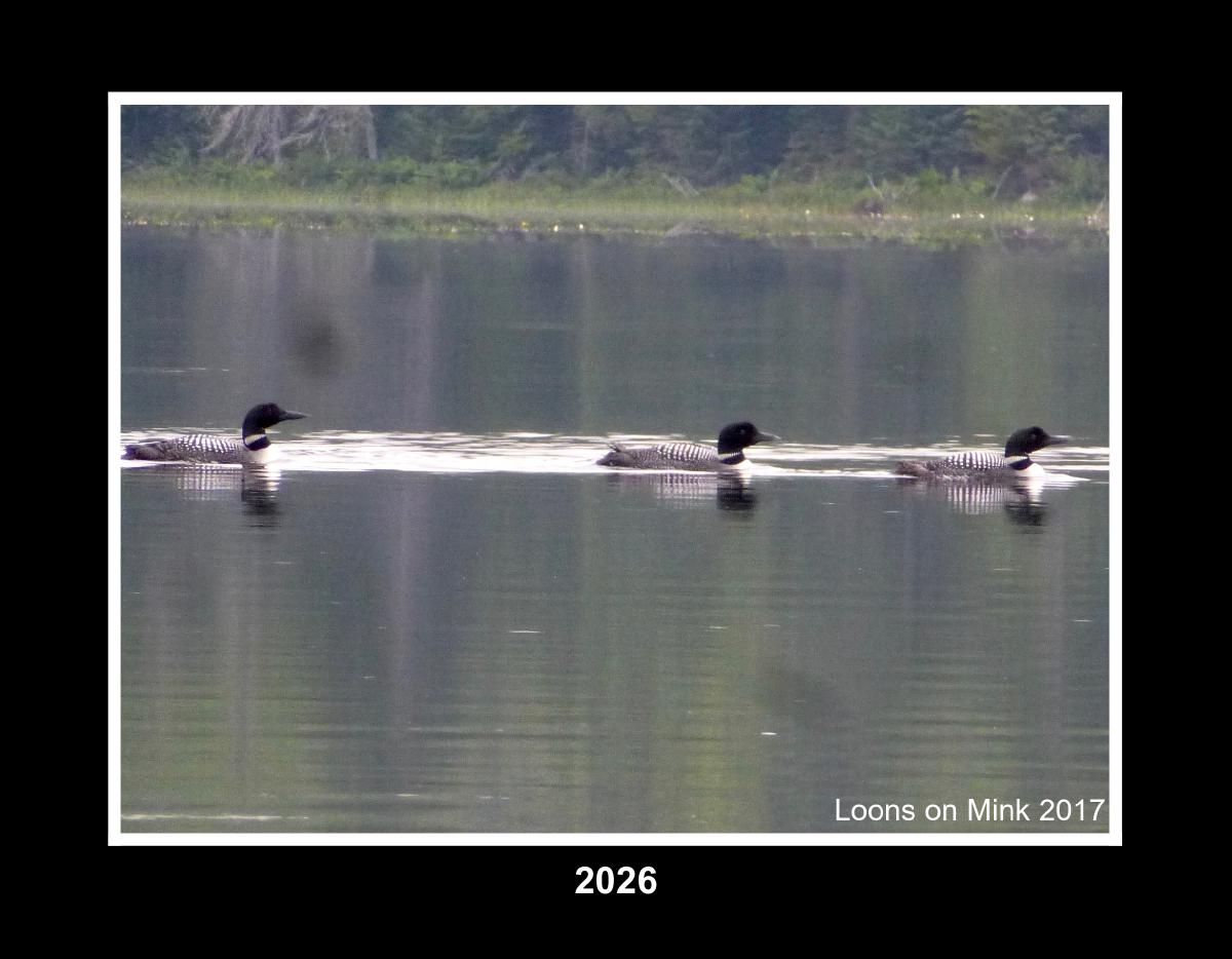 loons 2026 wall