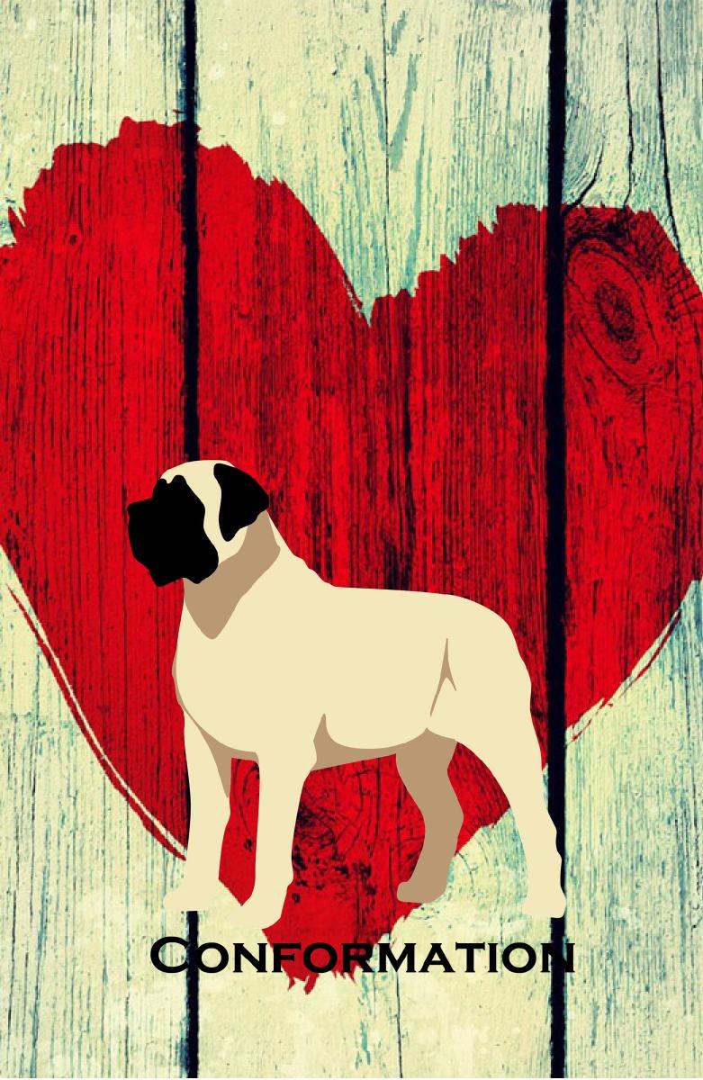 Mastiff Conformation Notebook