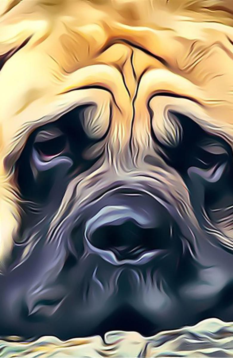 Melting Mastiff Notebook