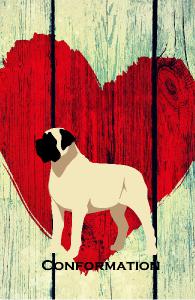 Mastiff Conformation Notebook