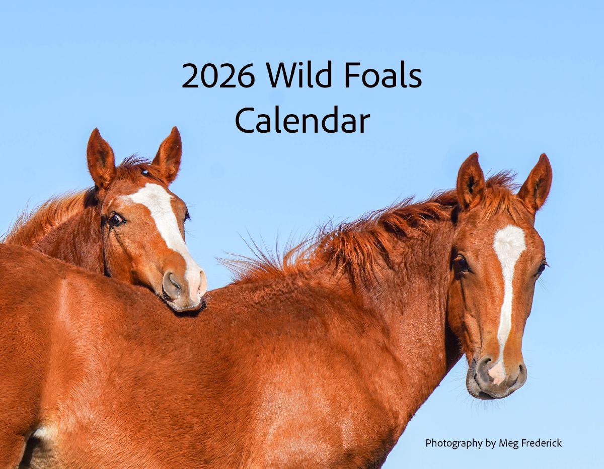 2026 Wild Foals Calendar