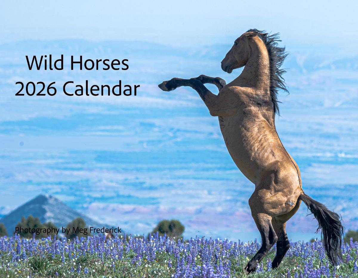 2026 Wild Horses Calendar