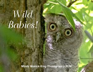 Wild Babies!