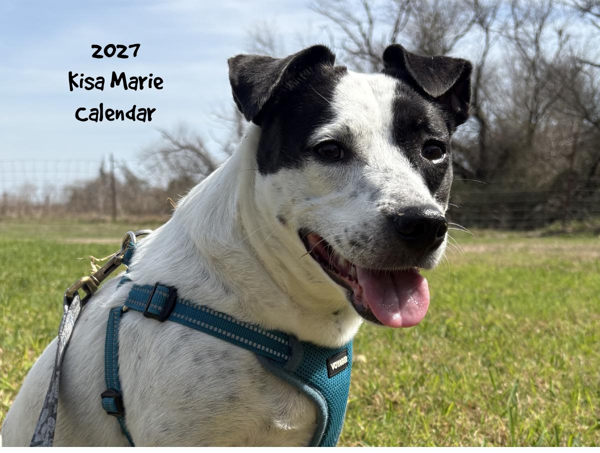 Kisa Marie 2027 Calendar