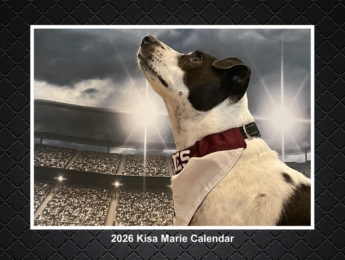 2026 Kisa Marie Calender
