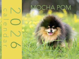 Mocha Pom 2026 Wall Calendar