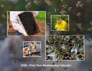 Beginning Beekeeping First Year Calendar
