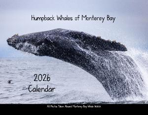 Humpback Whales of Monterey Bay