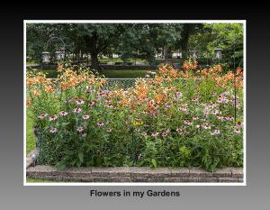 Flowers for 2026 part 1