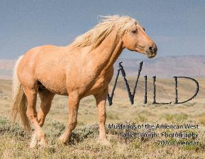 2026 WILD Mustangs of the American West 13 month