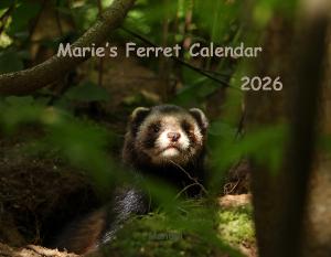 Marie's Ferret Calendar 2026