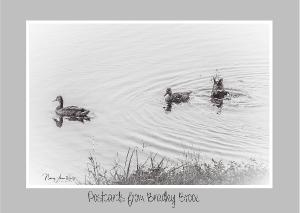 Early Morning Paddle