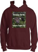Bradley Brook Where Eagles Fly Hoodie 2