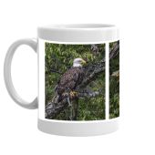 Bradley Brook Where Eagles Fly Mug