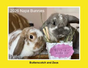 2026 Napa Bunnies Rescue Calendar