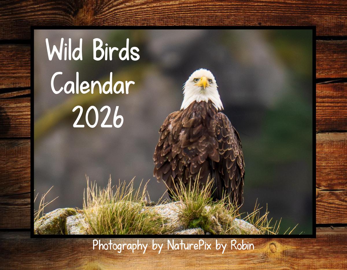 Wild Birds Calendar 2026 - NaturePix by Robin
