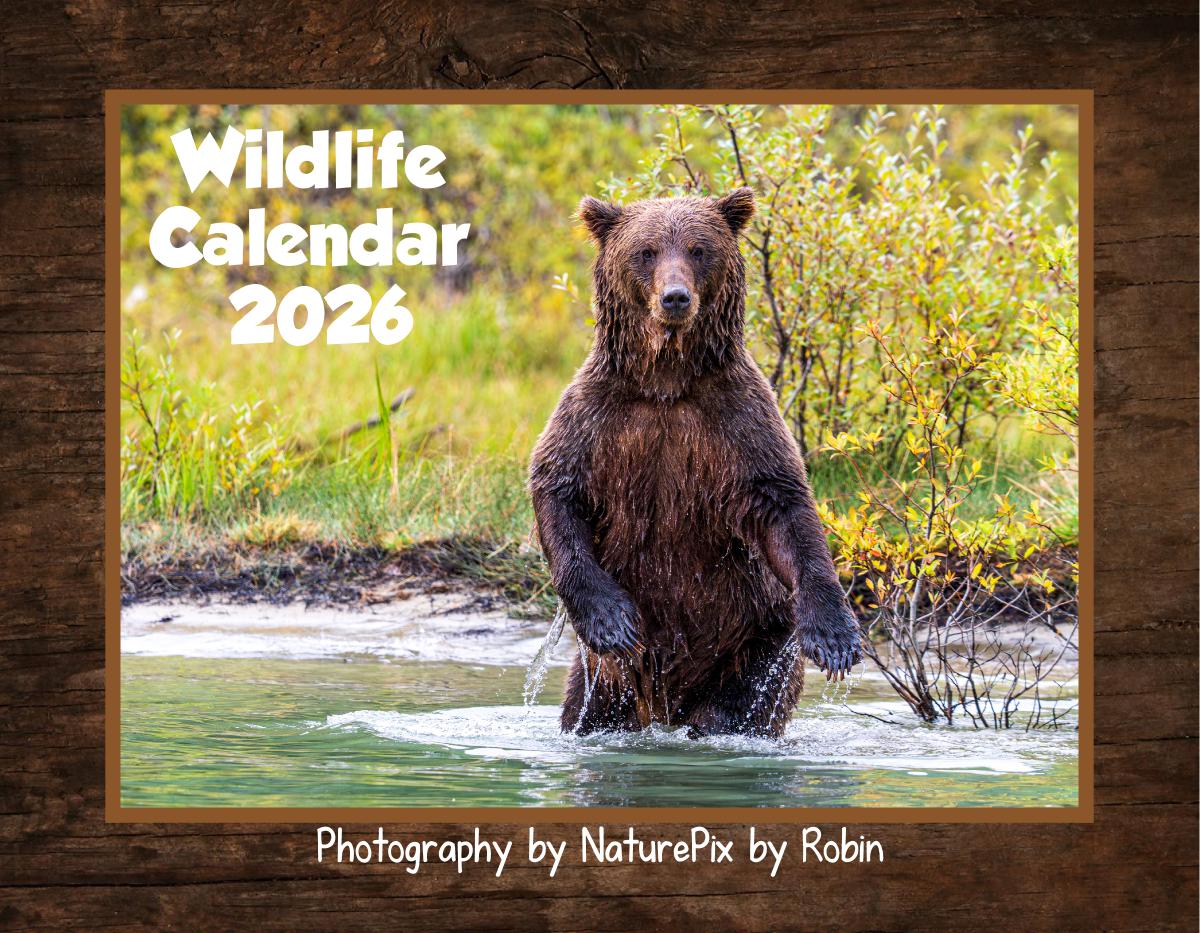 Wildlife Photography 2026 - NaturePix by Robin