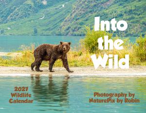 Into the Wild - 2027 Wildlife Calendar