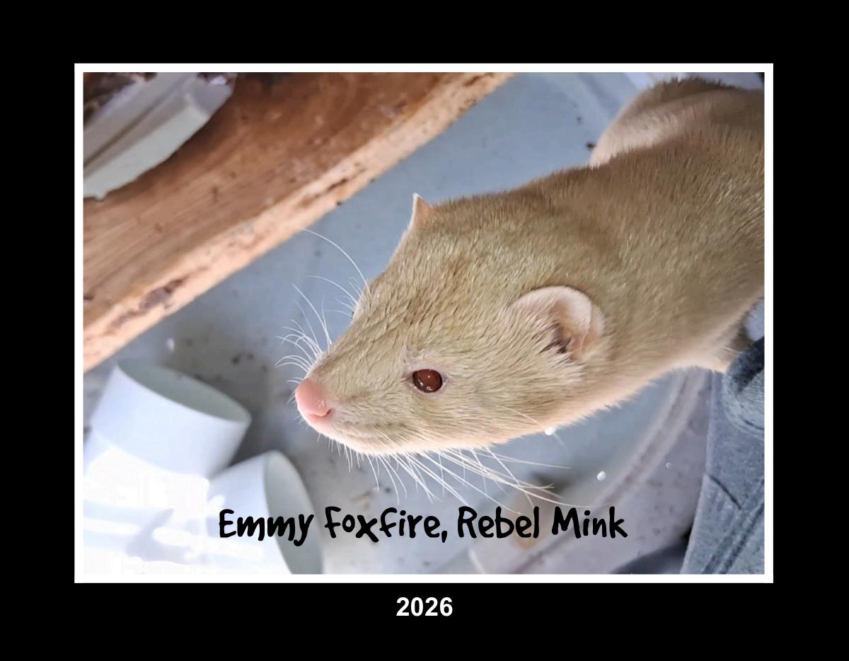 Rebel Mink 2026 Calendar