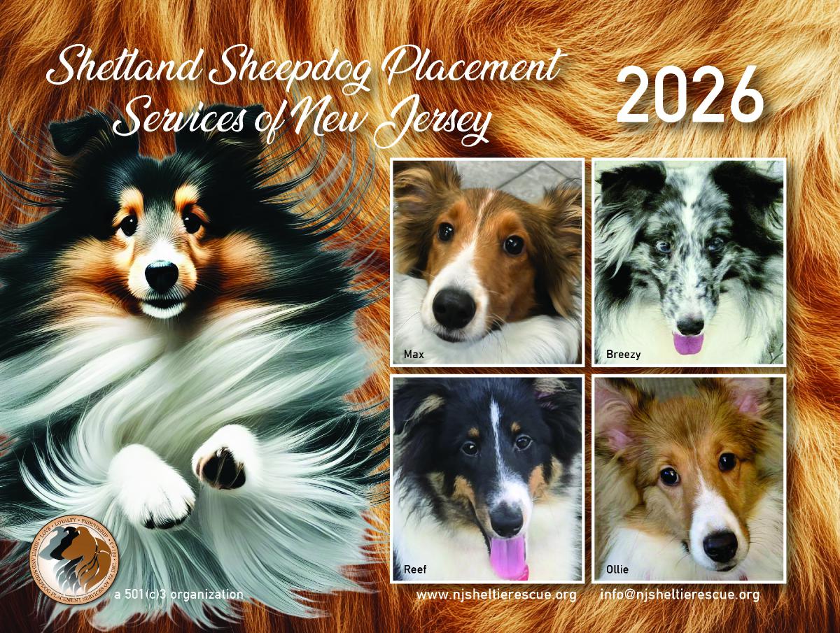 2026 SSPSNJ Calendar