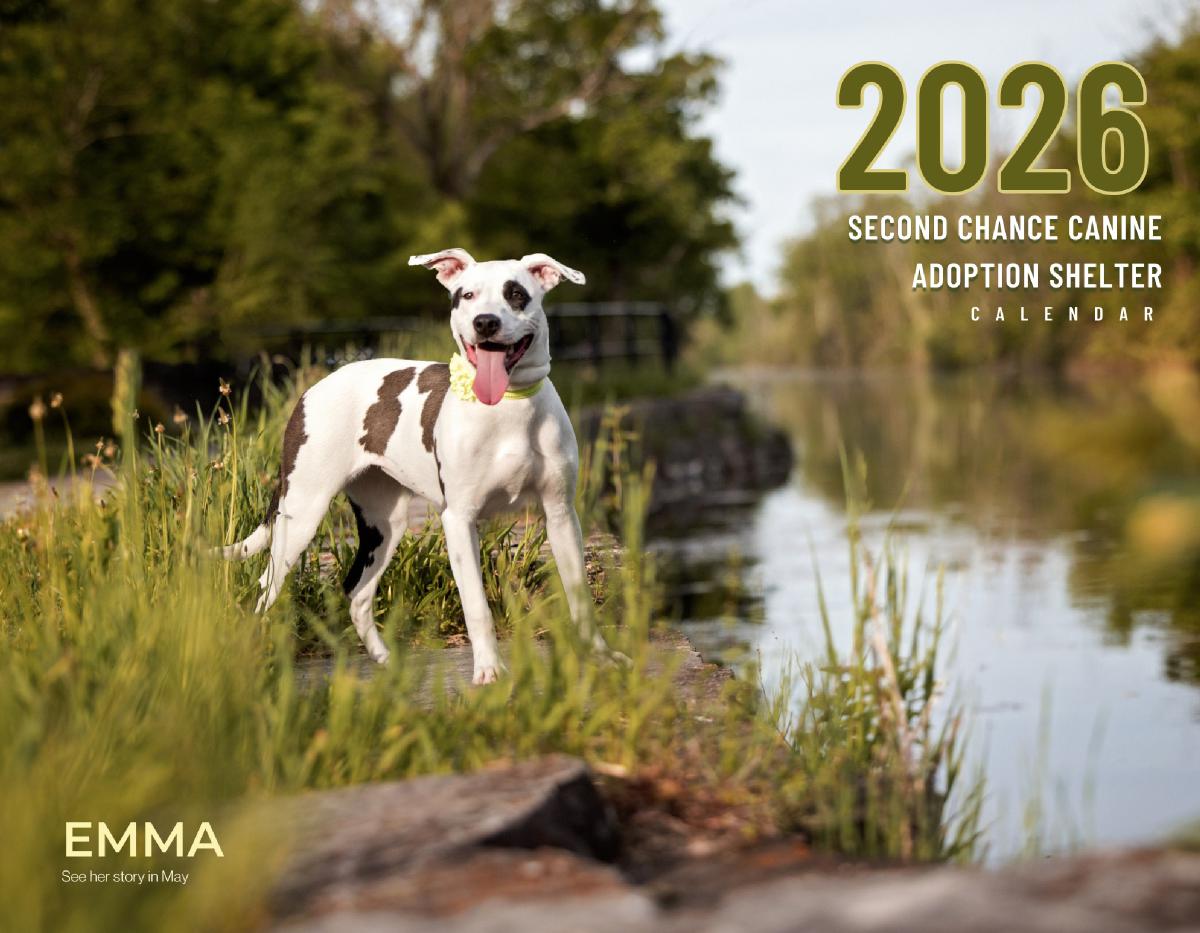 2026 Second Chance Canine rescue