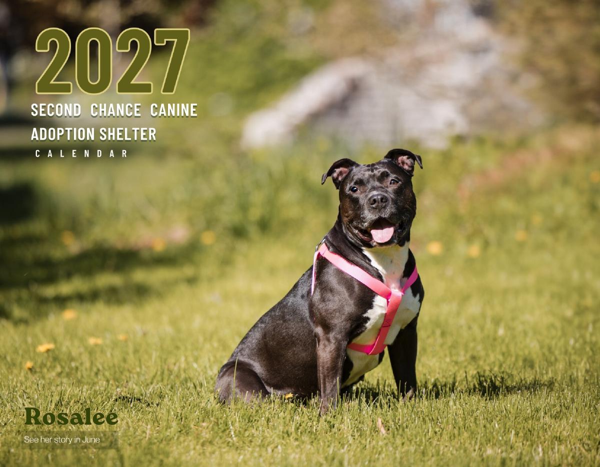 2027 Second Chance Calendar