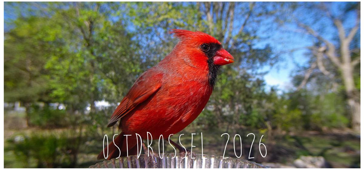 Ostdrossel 2026 desk calendar
