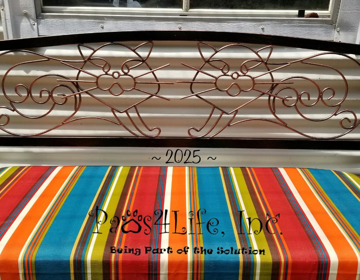 Paws4Life Inc 2025 Calendar