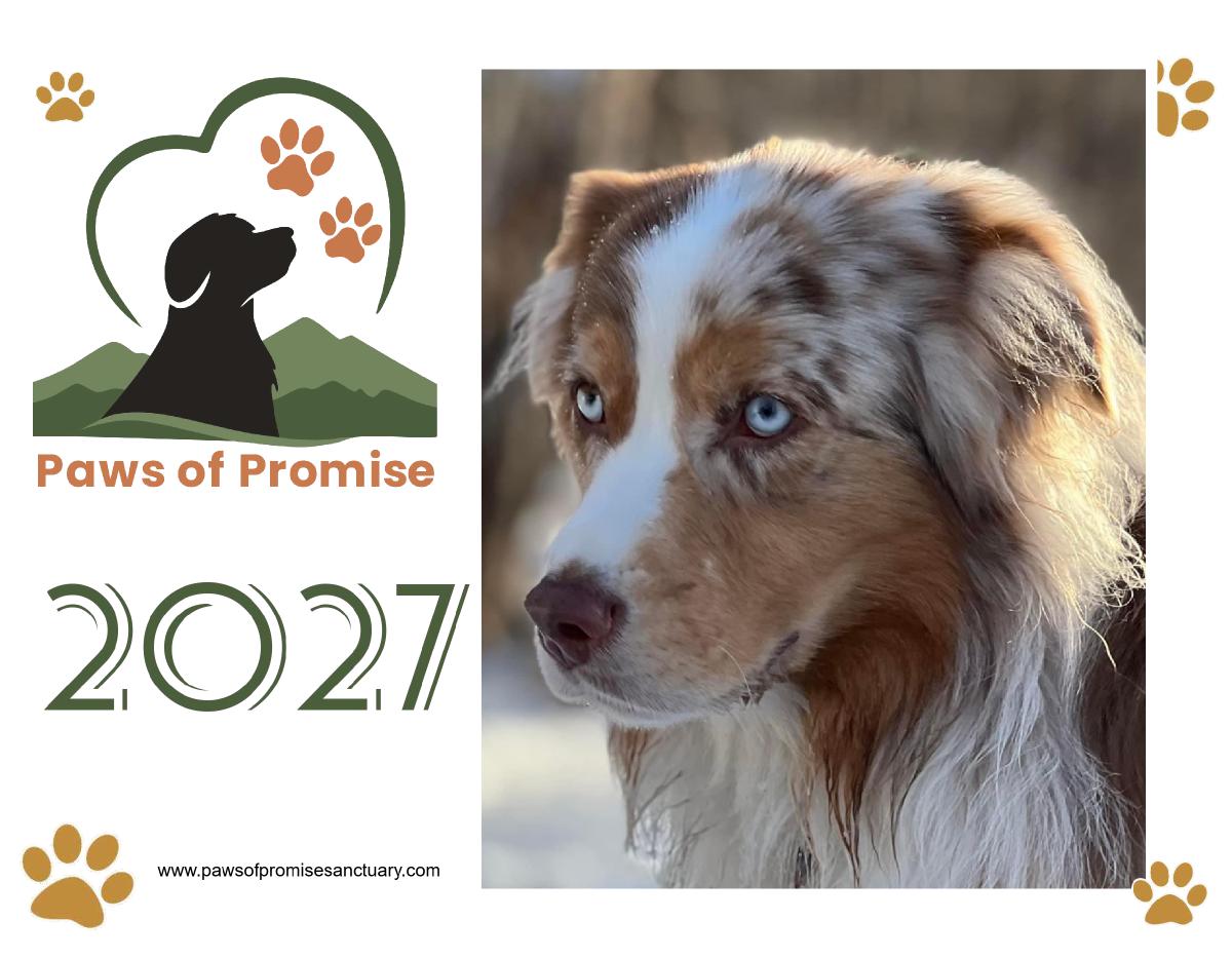 Paws of Promise 2027 Calendar