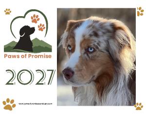 Paws of Promise 2027 Calendar