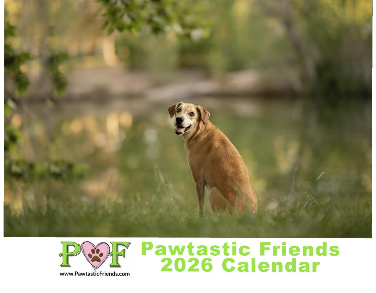 2026 Pawtastic Friends Calendar