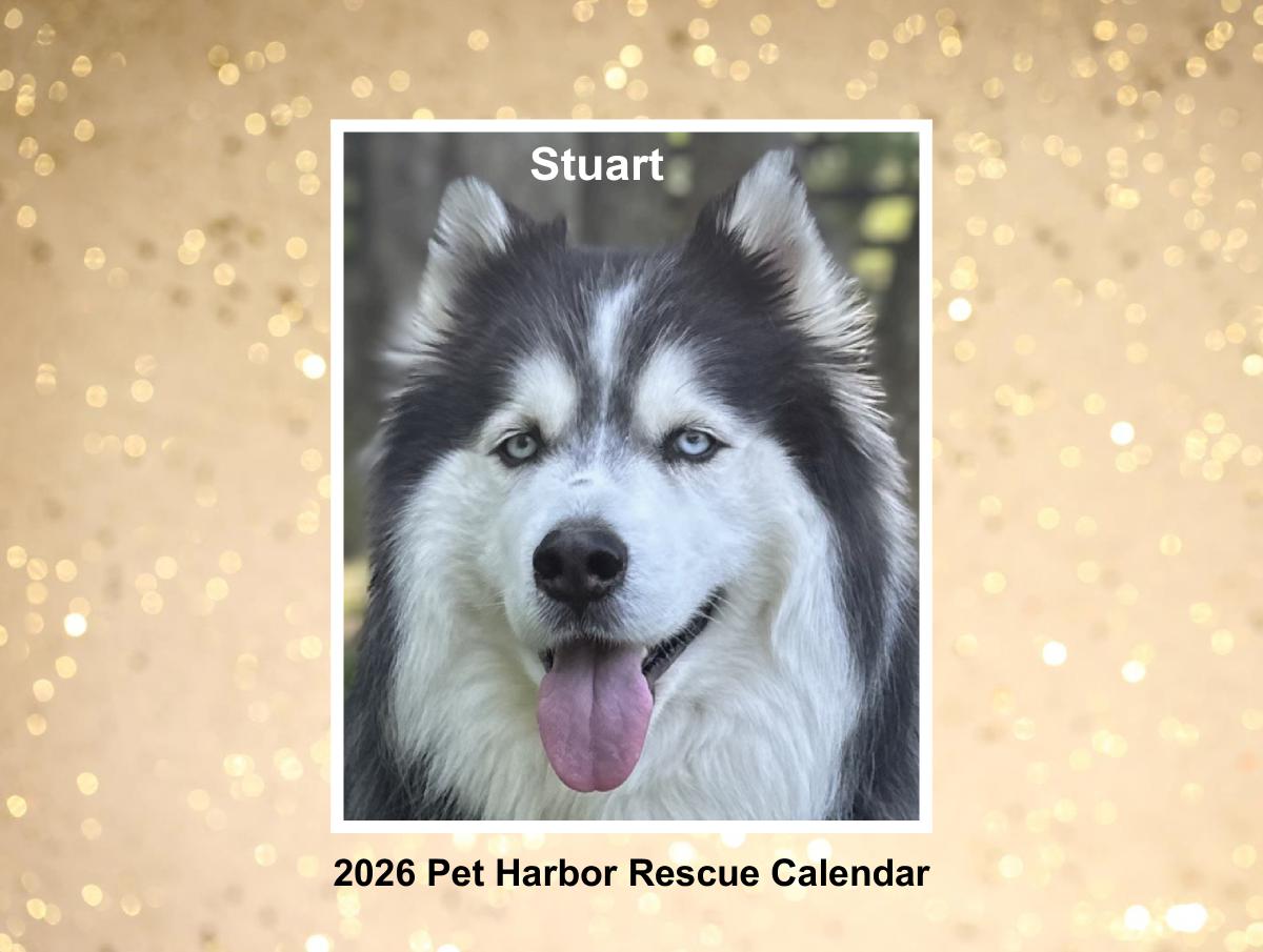 2026 Pet Harbor Calendar Solo Edition