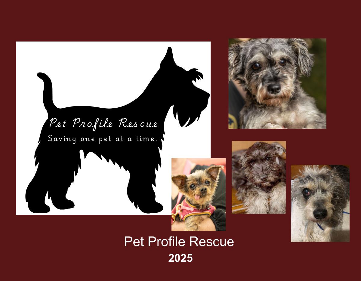 Pet Profile Rescue 2025 Monthly Calendar