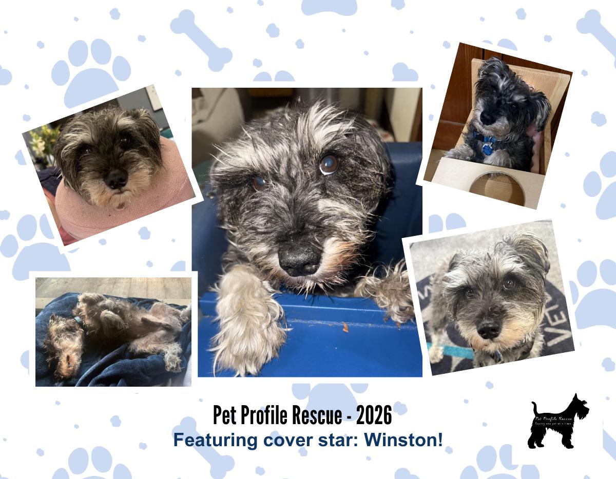 Pet Profile Rescue 2026 Calendar