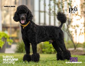 2026 Toledo Humane Society Calendar