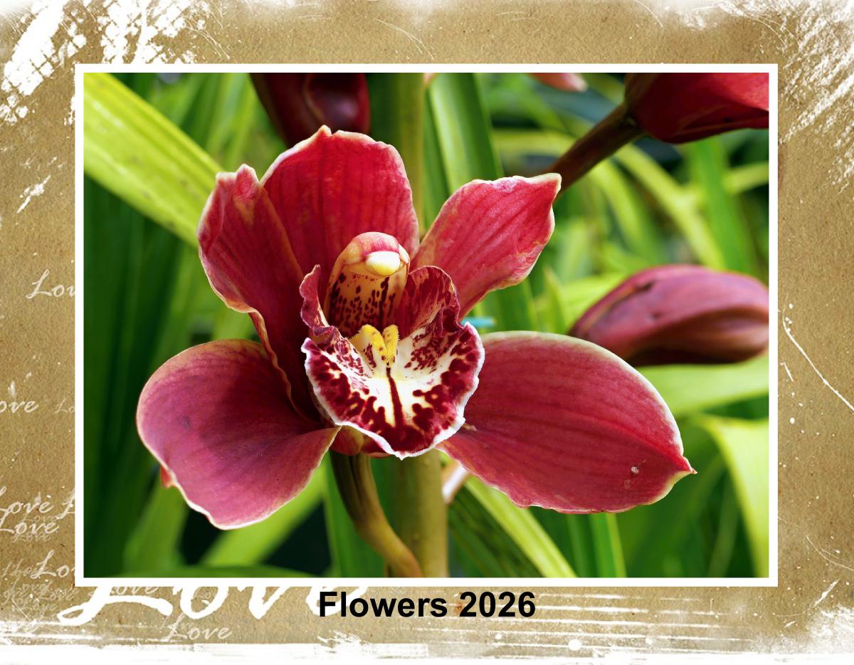 Flowers 2026