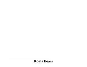 Koala bears