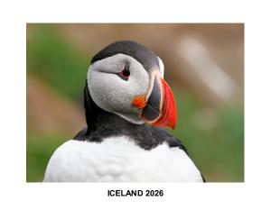 ICELAND 2026
