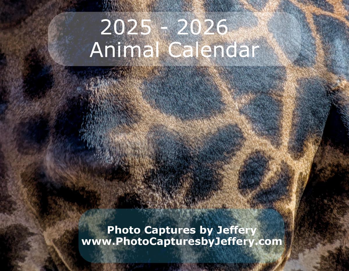 2025 2026 17 Month Animal Calendar
