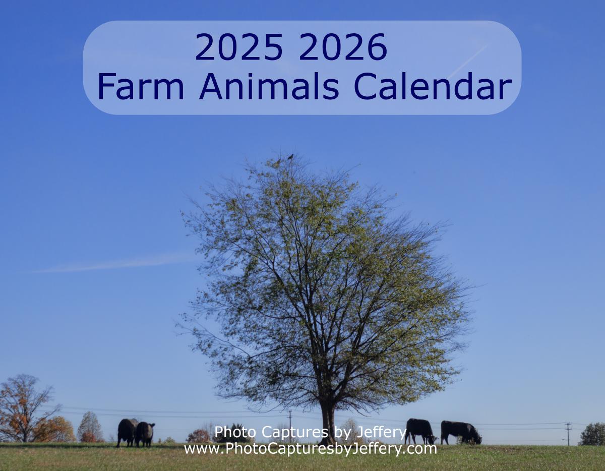 2025 2026 17 Month Farm Animals Calendar