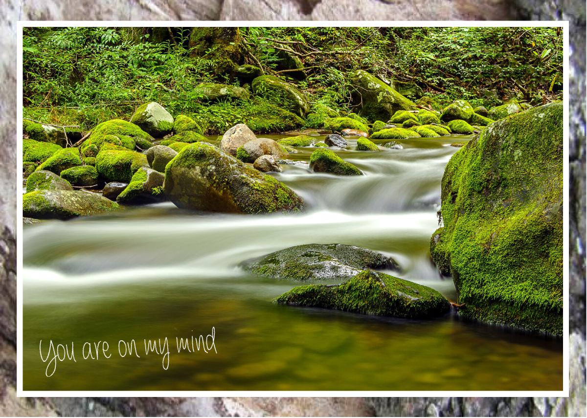 Alfred Reagan flowing Roaring Fork Stream Card