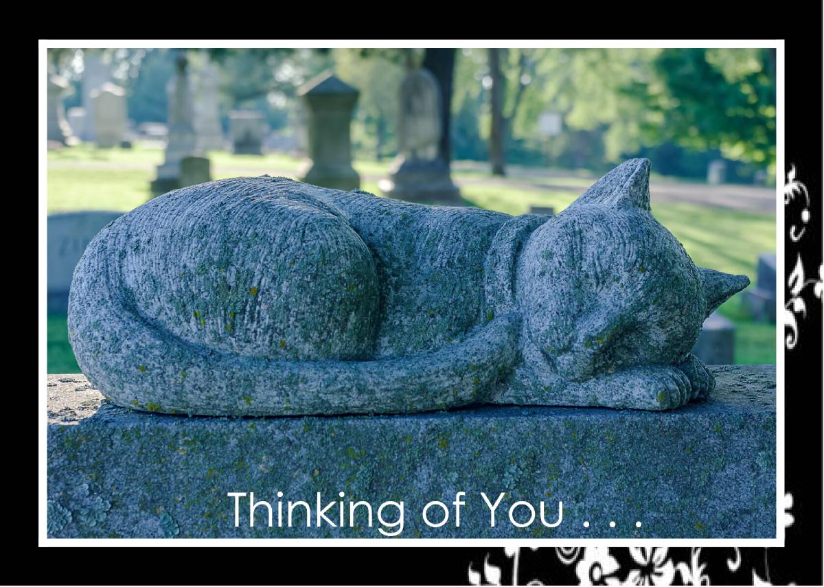 Feline Sculpture Elmwood Cemetery Card